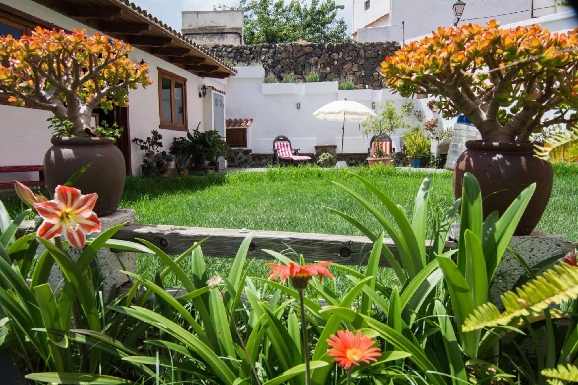 Cozy House Casa Vero Mai Icod De Los Vinos Zewnętrze zdjęcie